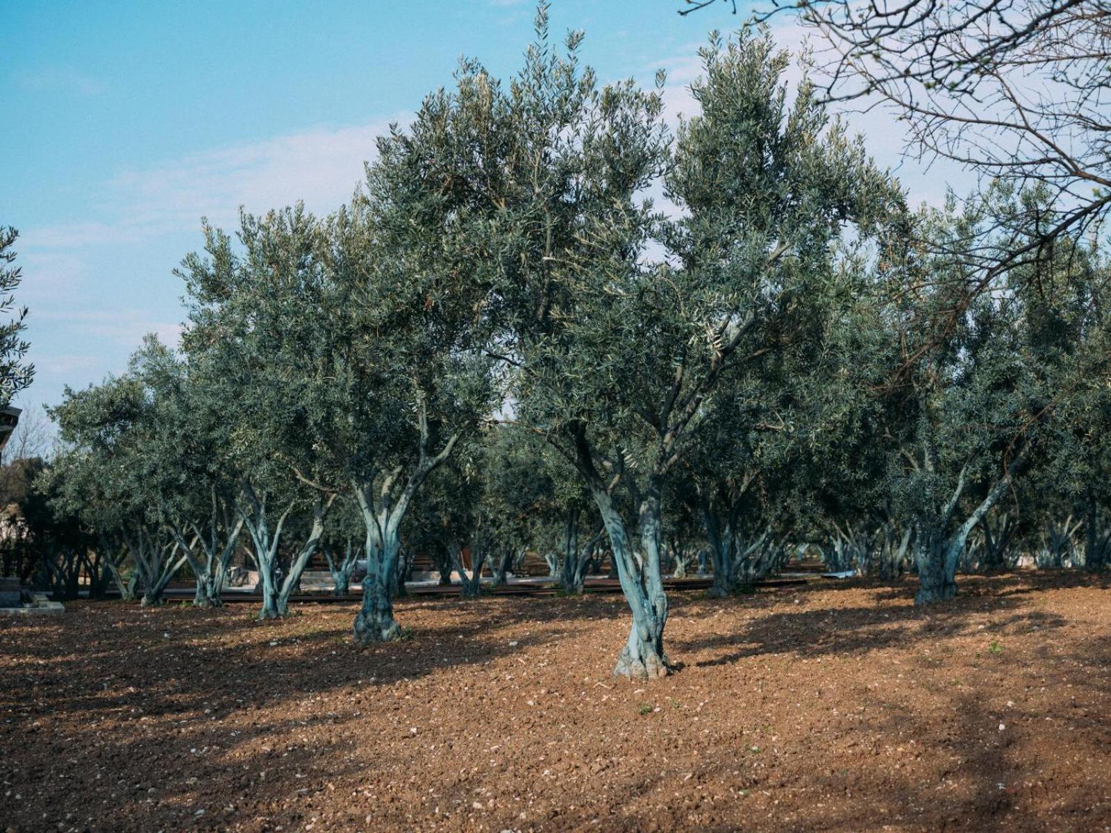 Od Urla Misafirhane Exterior photo